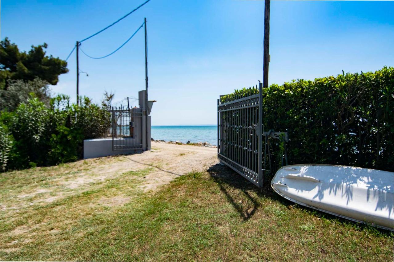 Clio Beach House By Travel Pro Services - Metochi Halkidiki Sozopoli Exterior photo