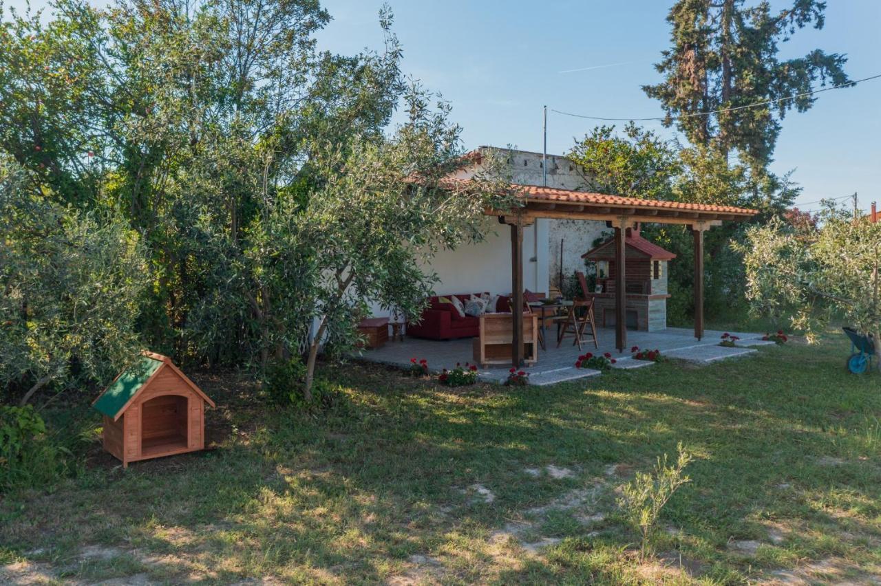 Clio Beach House By Travel Pro Services - Metochi Halkidiki Sozopoli Exterior photo